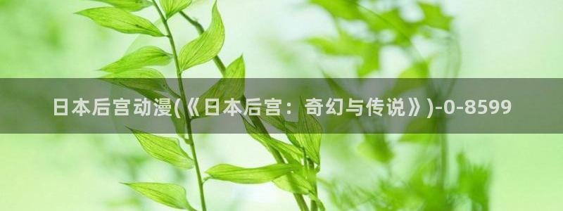 爱动漫网