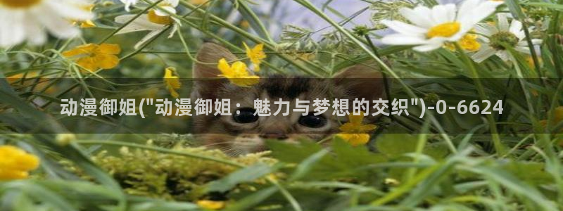 吞噬星空动漫：动漫御姐(\