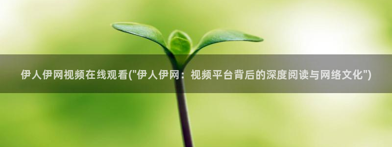 伊人久久成人草影院